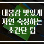 대봉감 맛있게 자연 숙성하는 초간단 팁