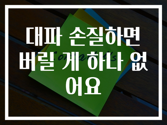 대파 손질하면 버릴 게 하나 없어요