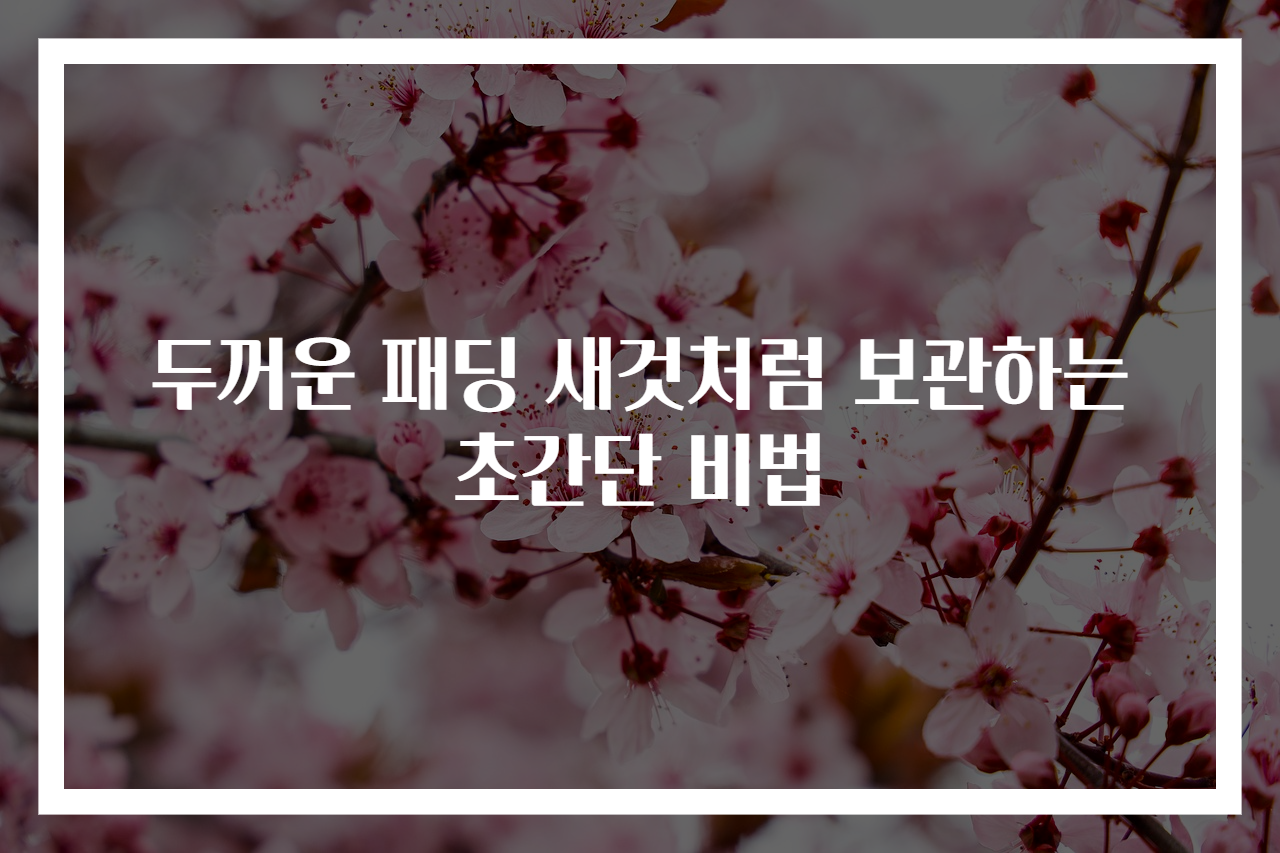 두꺼운 패딩 새것처럼 보관하는 초간단 비법