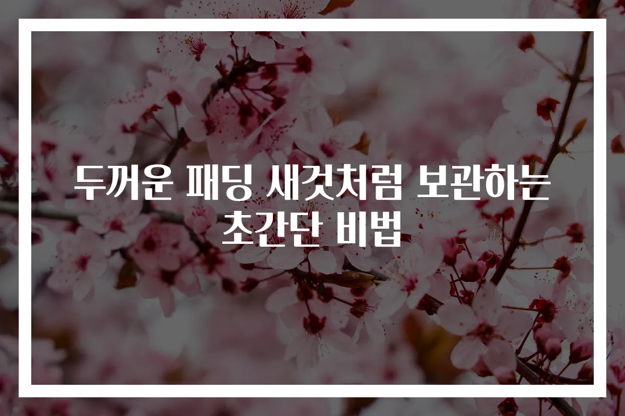 두꺼운 패딩 새것처럼 보관하는 초간단 비법