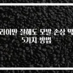 드라이만 잘해도 모발 손상 막는 5가지 방법