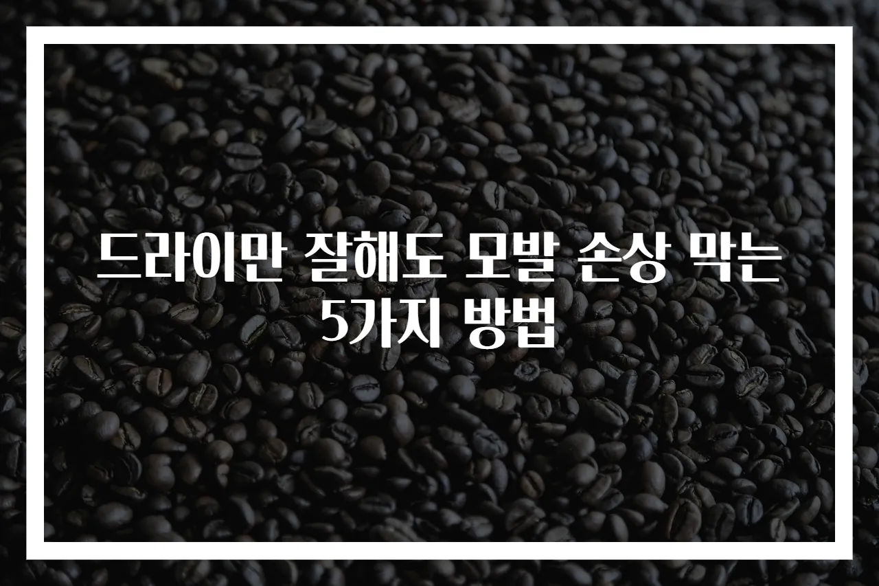 드라이만 잘해도 모발 손상 막는 5가지 방법
