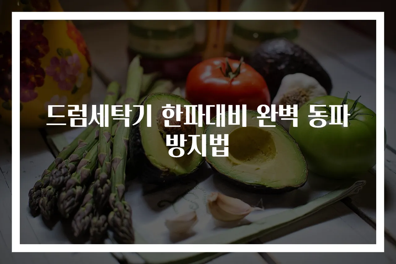 드럼세탁기 한파대비 완벽 동파 방지법