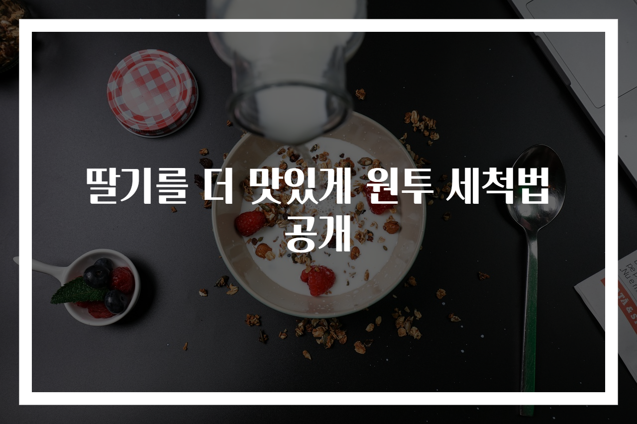 딸기를 더 맛있게 원투 세척법 공개