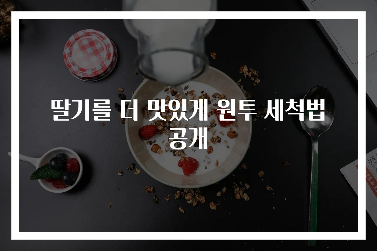 딸기를 더 맛있게 원투 세척법 공개