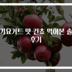 딸기요거트 맛 칸쵸 먹어본 솔직 후기