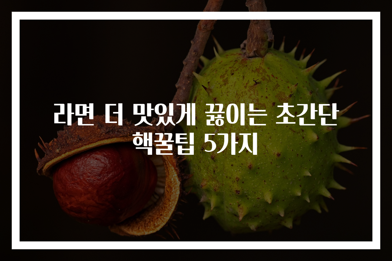 라면 더 맛있게 끓이는 초간단 핵꿀팁 5가지