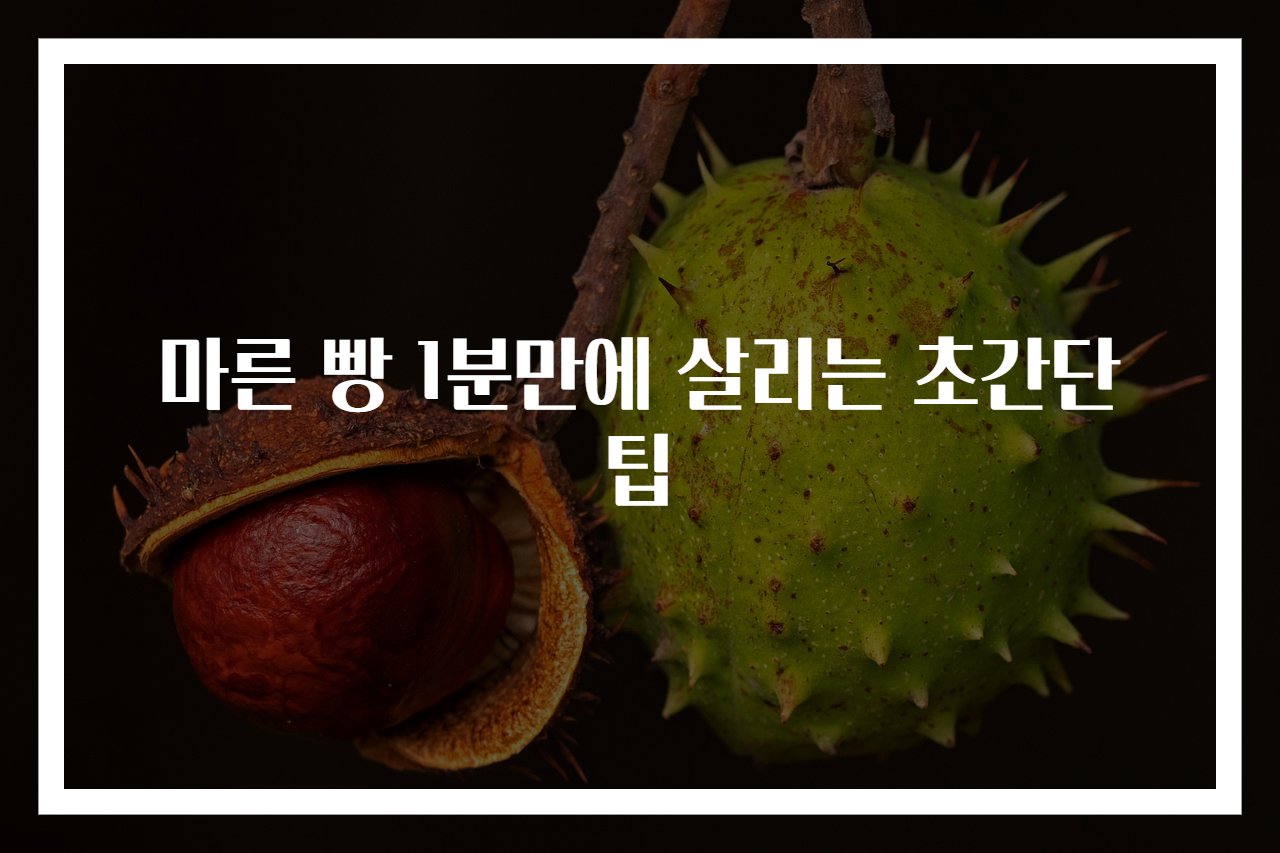 마른 빵 1분만에 살리는 초간단 팁