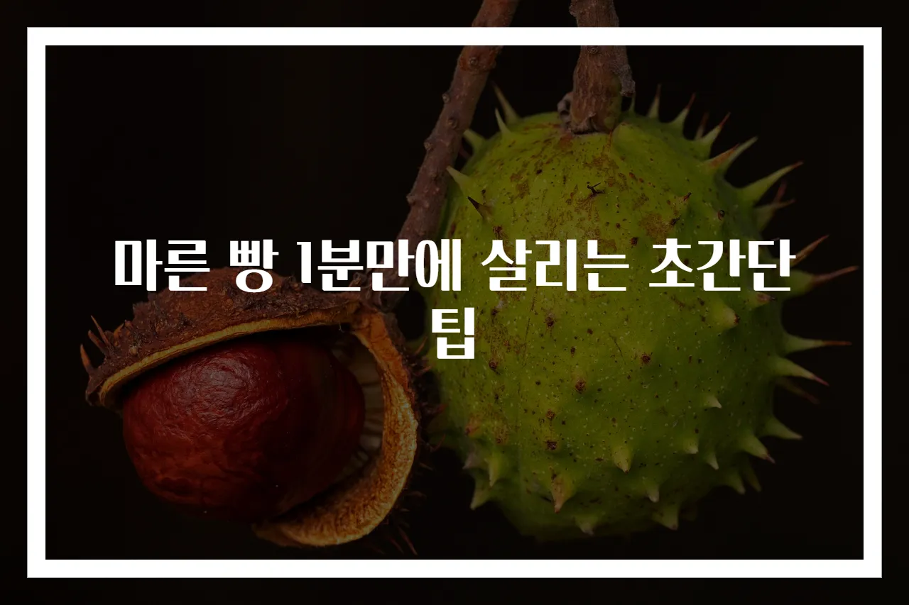 마른 빵 1분만에 살리는 초간단 팁