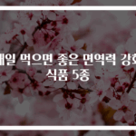 매일 먹으면 좋은 면역력 강화 식품 5종