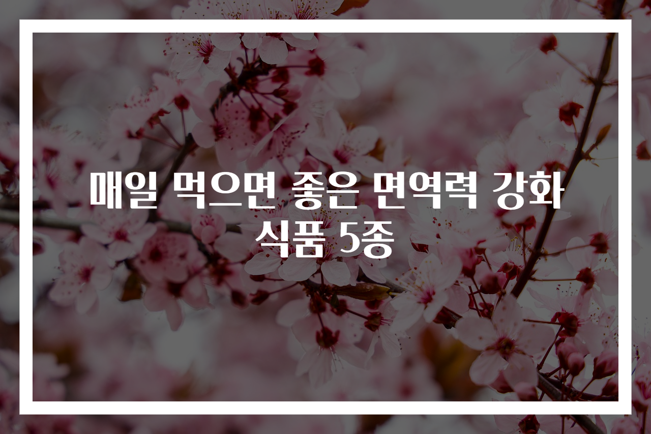매일 먹으면 좋은 면역력 강화 식품 5종