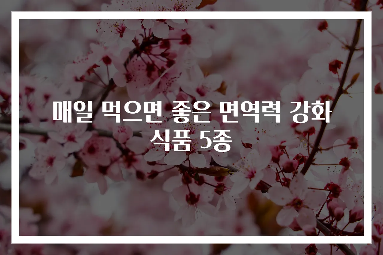 매일 먹으면 좋은 면역력 강화 식품 5종