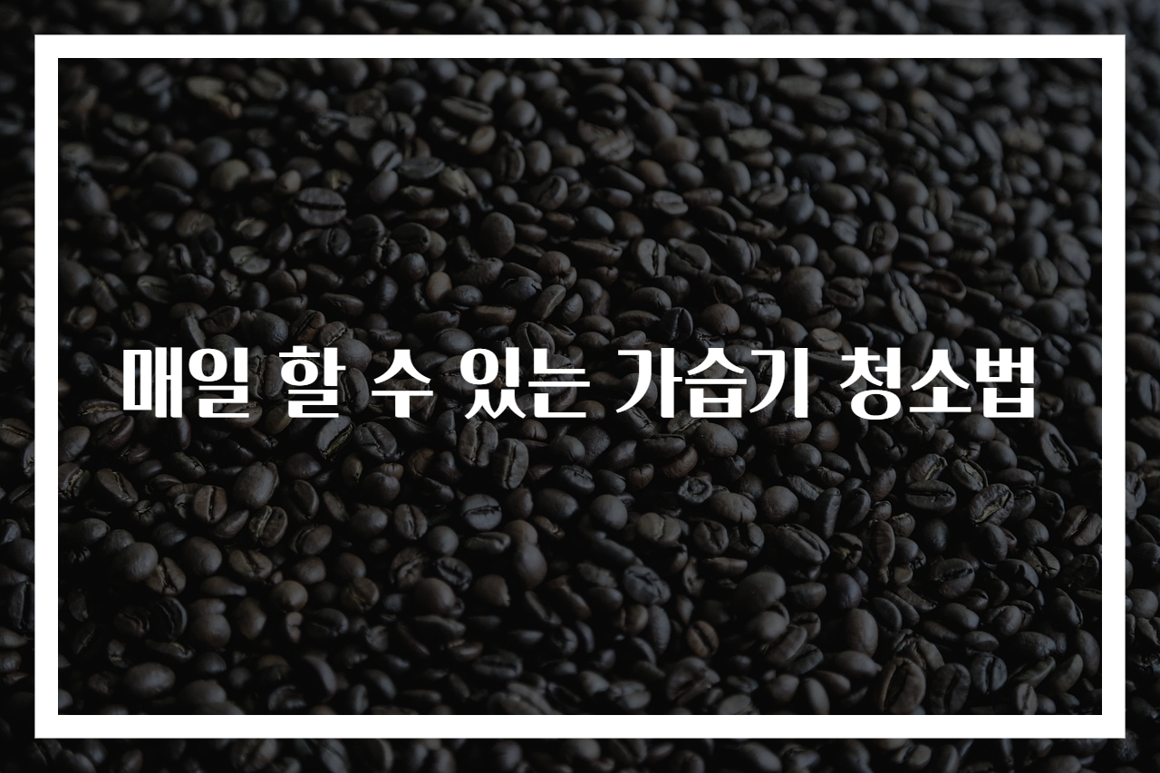 매일 할 수 있는 가습기 청소법