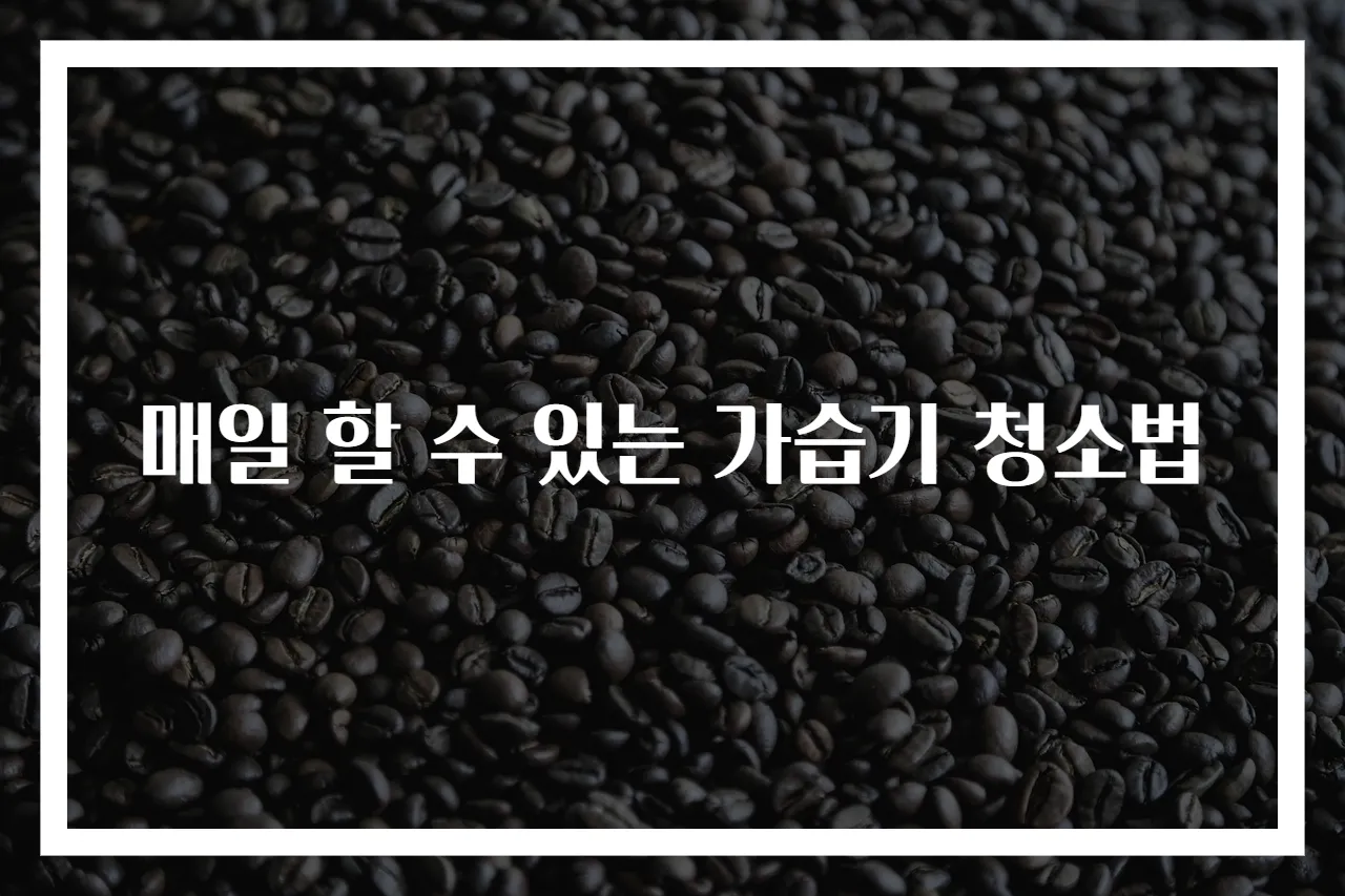 매일 할 수 있는 가습기 청소법