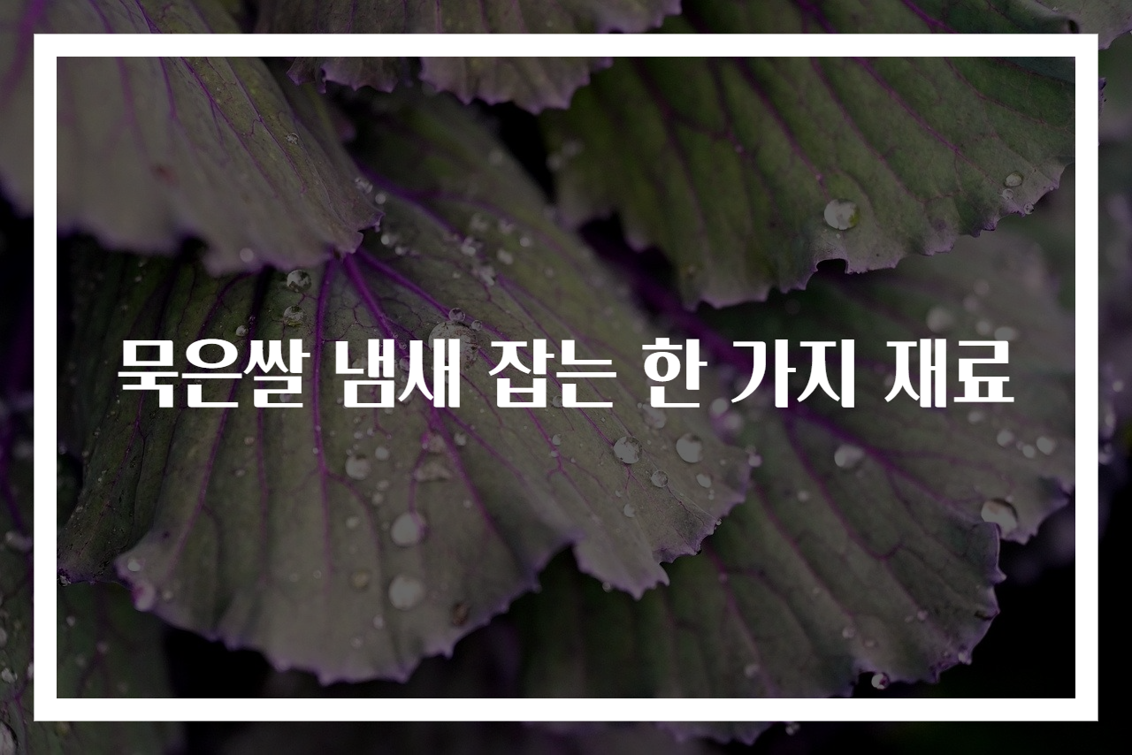 묵은쌀 냄새 잡는 한 가지 재료