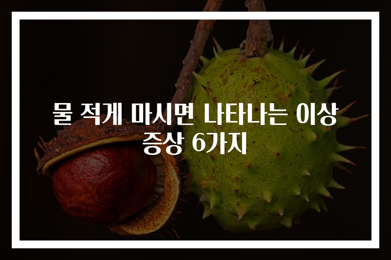 물 적게 마시면 나타나는 이상 증상 6가지