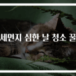 미세먼지 심한 날 청소 꿀팁