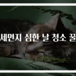 미세먼지 심한 날 청소 꿀팁
