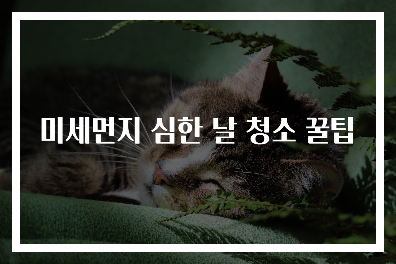 미세먼지 심한 날 청소 꿀팁