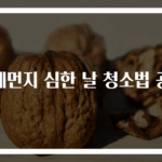 미세먼지 심한 날 청소법 공개