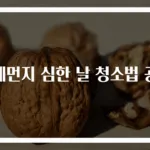 미세먼지 심한 날 청소법 공개