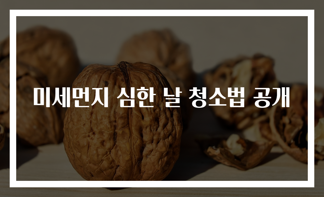 미세먼지 심한 날 청소법 공개
