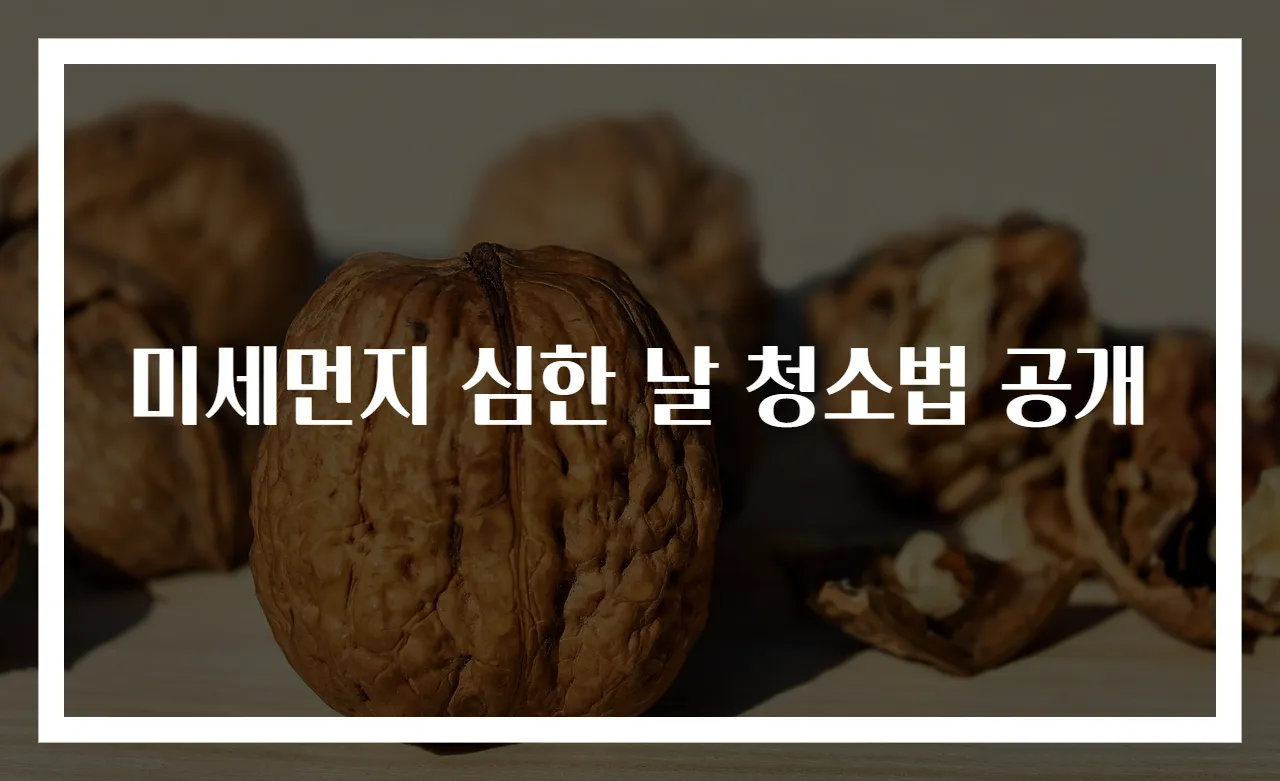미세먼지 심한 날 청소법 공개