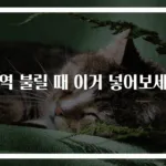 미역 불릴 때 이거 넣어보세요