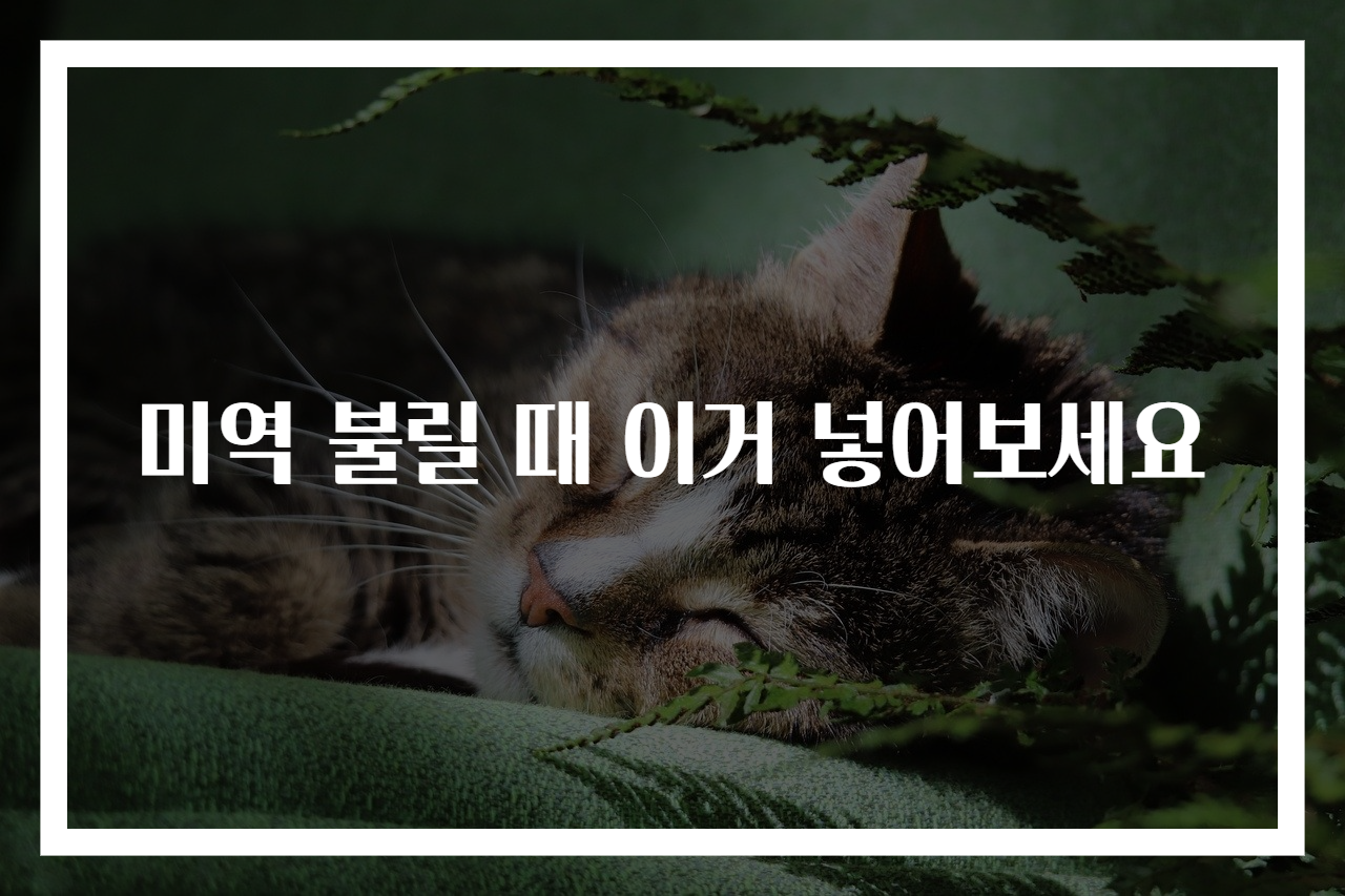 미역 불릴 때 이거 넣어보세요
