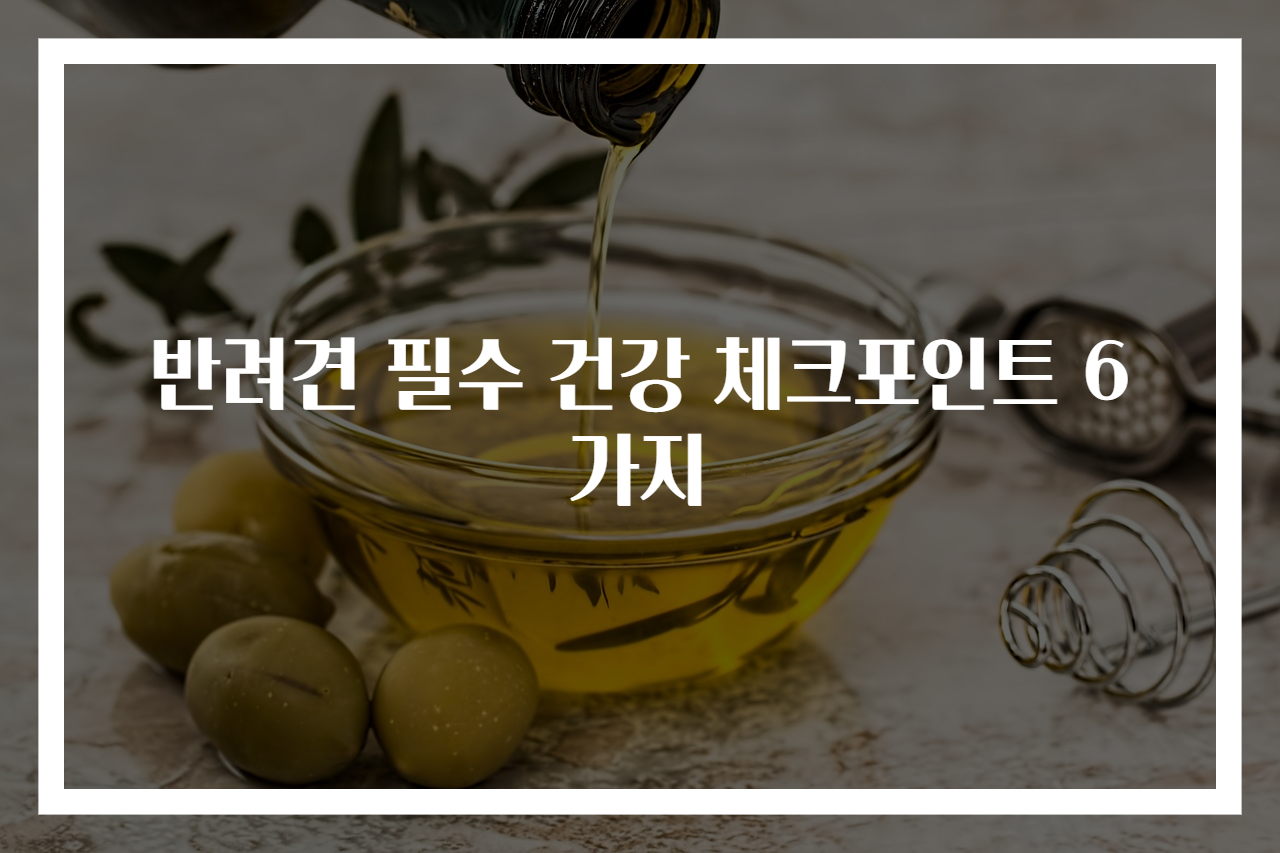 반려견 필수 건강 체크포인트 6가지