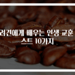 반려견에게 배우는 인생 교훈 베스트 10가지