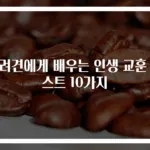반려견에게 배우는 인생 교훈 베스트 10가지
