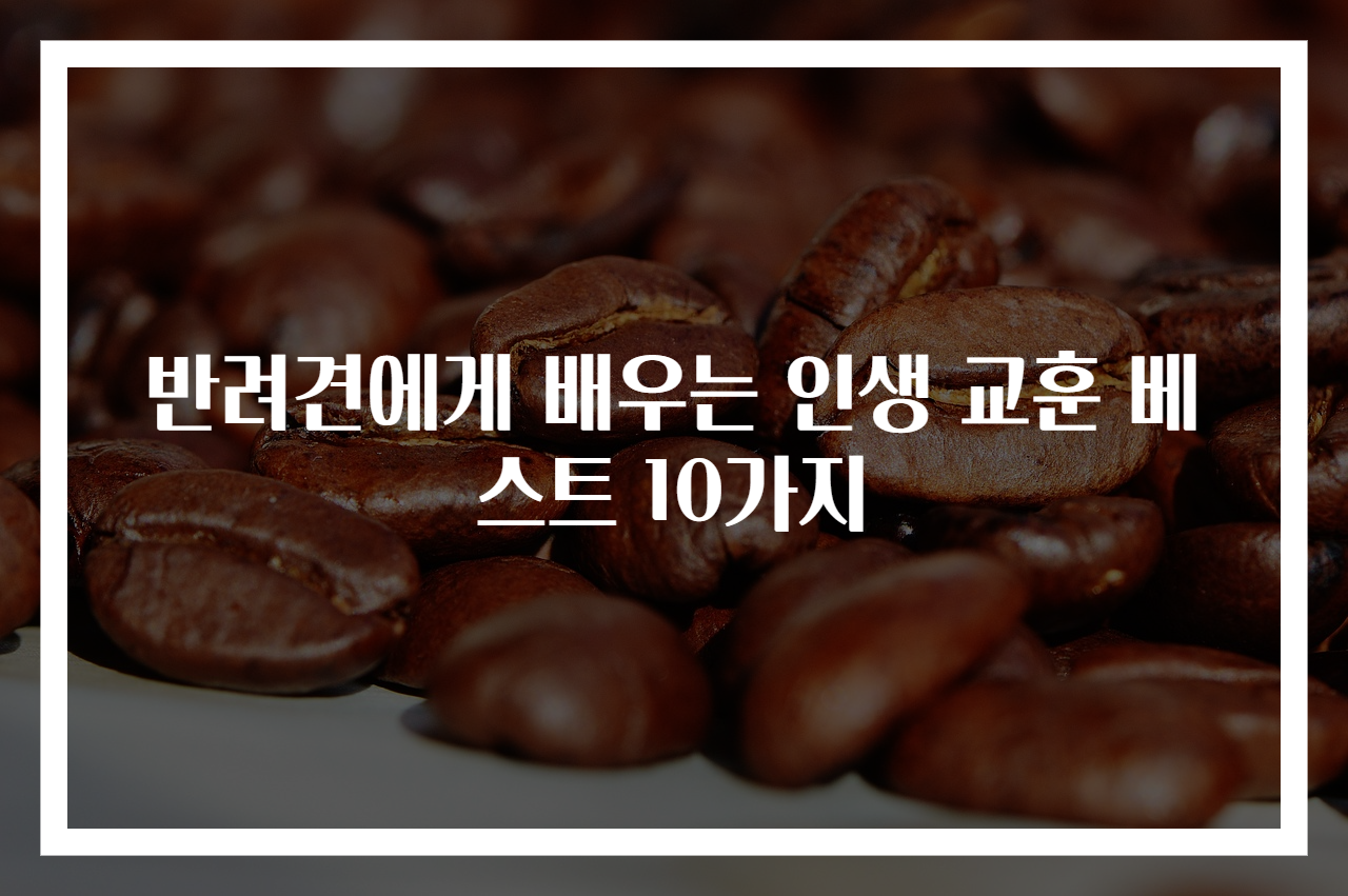 반려견에게 배우는 인생 교훈 베스트 10가지