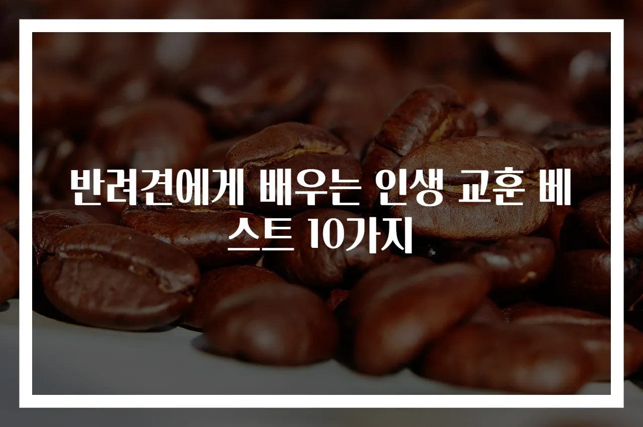반려견에게 배우는 인생 교훈 베스트 10가지