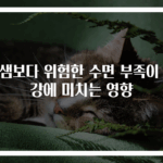 밤샘보다 위험한 수면 부족이 건강에 미치는 영향
