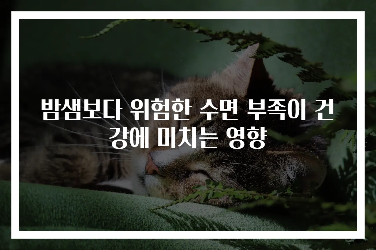 밤샘보다 위험한 수면 부족이 건강에 미치는 영향