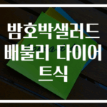 밤호박샐러드 배불리 다이어트식