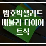 밤호박샐러드 배불리 다이어트식