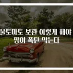 방울토마토 보관 이렇게 해야 곰팡이 폭탄 막는다