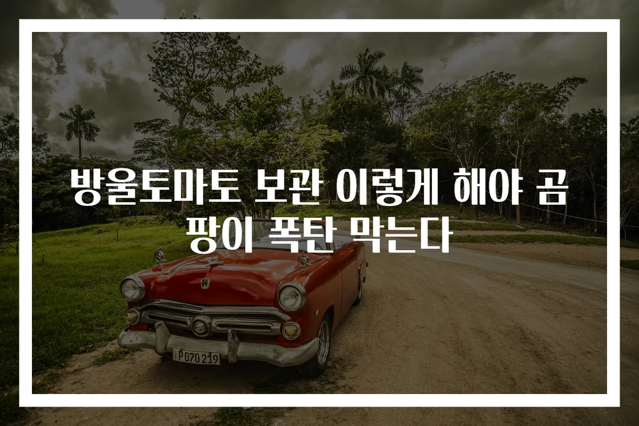 방울토마토 보관 이렇게 해야 곰팡이 폭탄 막는다