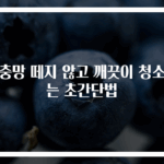 방충망 떼지 않고 깨끗이 청소하는 초간단법