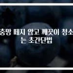 방충망 떼지 않고 깨끗이 청소하는 초간단법