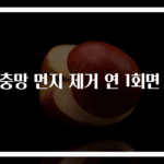방충망 먼지 제거 연 1회면 끝