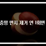 방충망 먼지 제거 연 1회면 끝