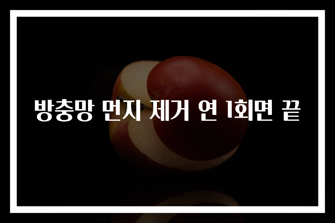 방충망 먼지 제거 연 1회면 끝