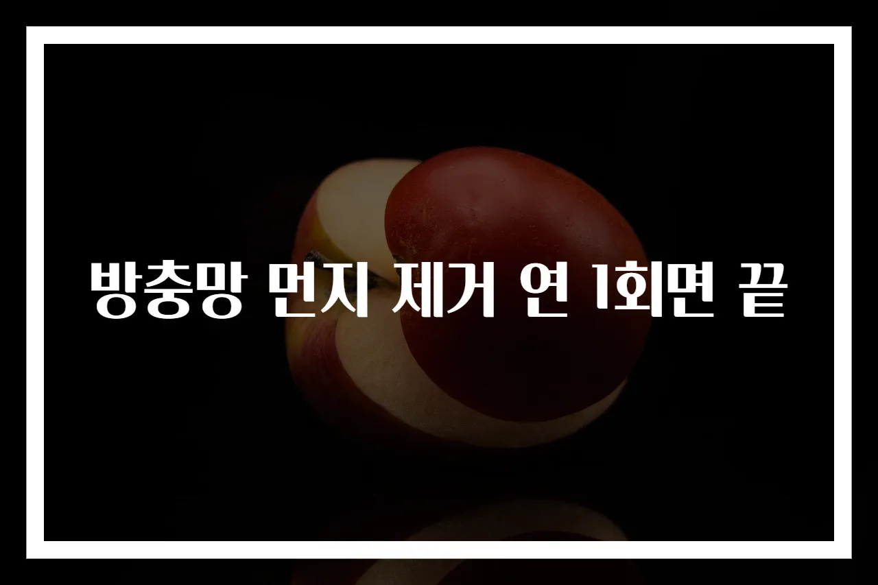 방충망 먼지 제거 연 1회면 끝