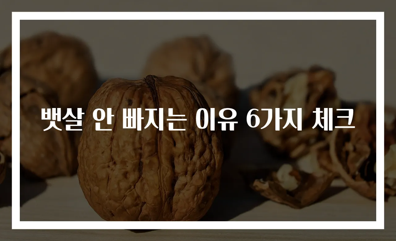 뱃살 안 빠지는 이유 6가지 체크