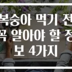 복숭아 먹기 전 꼭 알아야 할 정보 4가지
