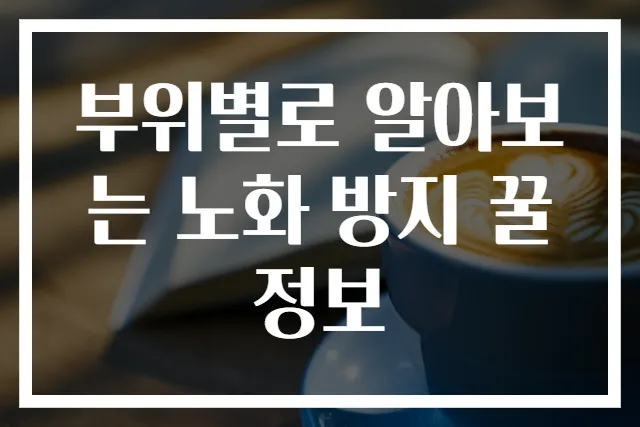 부위별로 알아보는 노화 방지 꿀정보