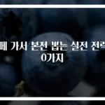 뷔페 가서 본전 뽑는 실전 전략 10가지